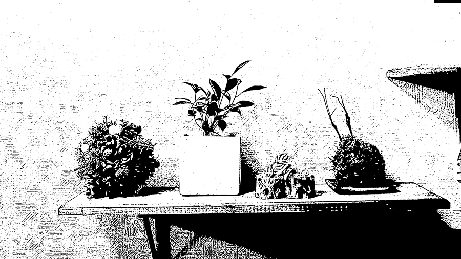 DSC08064